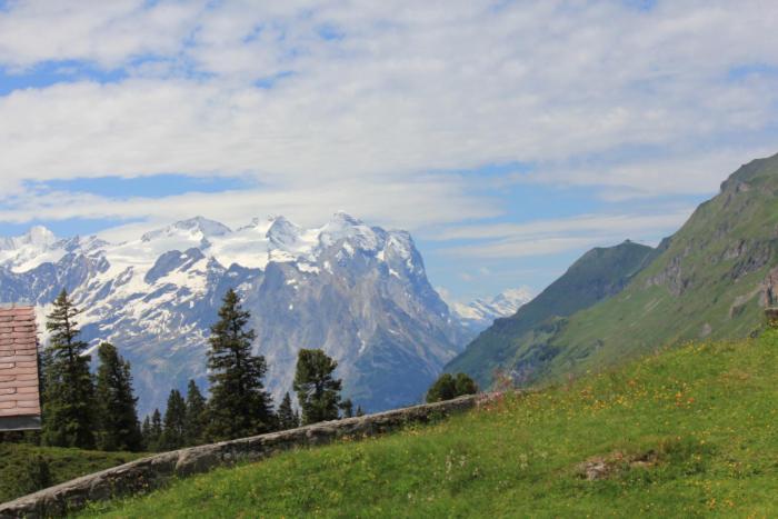 Отель Alpenrose Иннерткирхен Экстерьер фото